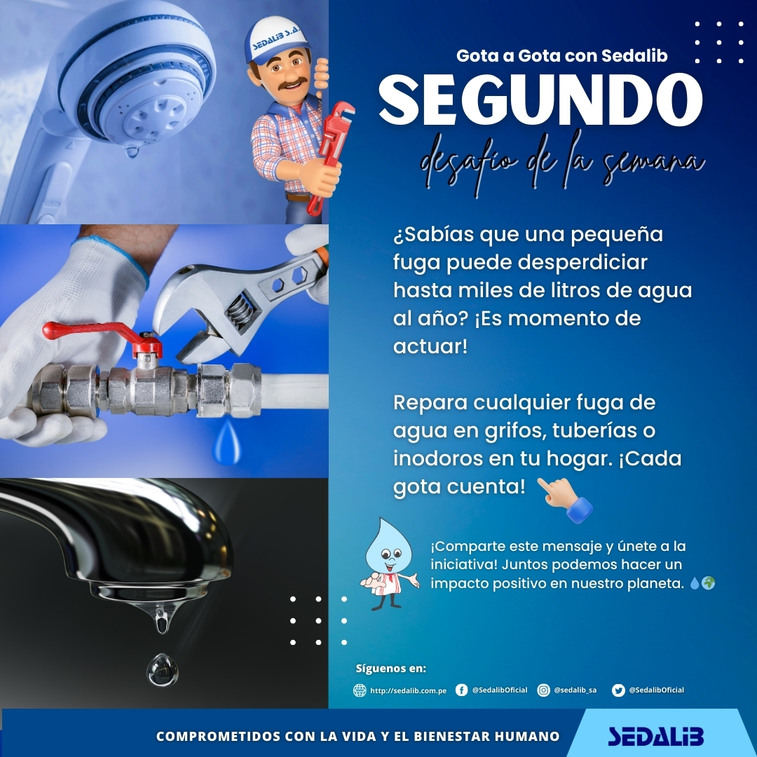 wp-hosting